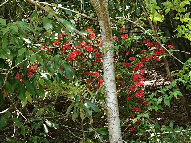 e0145441_00535597.jpg
