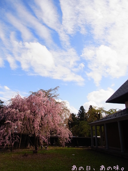 a0305046_14234995.jpg