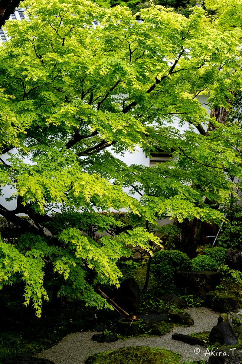 f0152550_22525404.jpg
