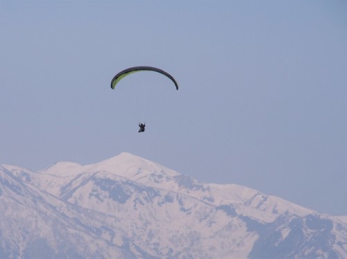 高社山 石仏に導かれて　　2019.５.３（金）_b0335256_15053884.jpg