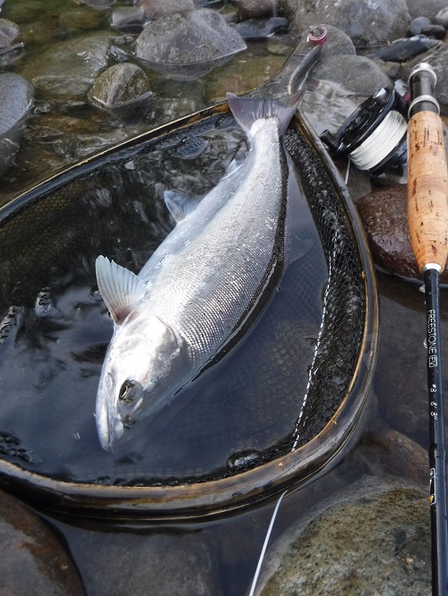 2019 鬼怒川本流と支流のヤマメ釣り_f0212059_0375711.jpg