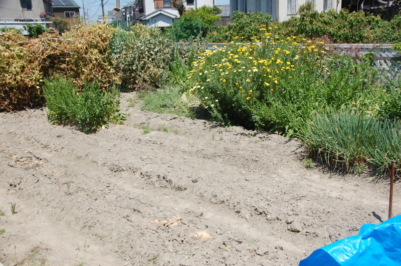 c0108460_21040539.jpg