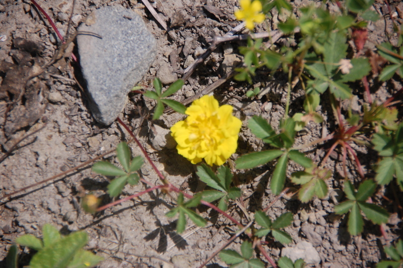c0108460_21071327.jpg