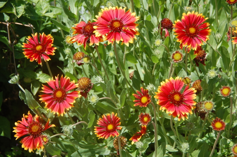 c0108460_21075784.jpg