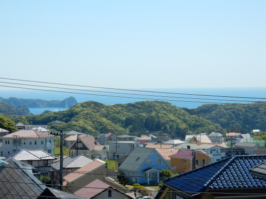 ’19,5,8(水)ニンニク芽のカットと友達!_f0060461_10055956.jpg