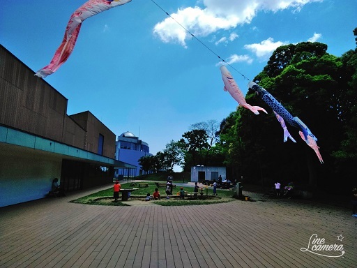 c0112264_16110664.jpg