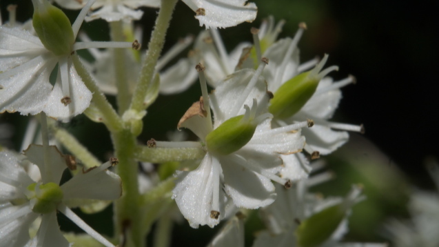 f0367166_20143159.jpg