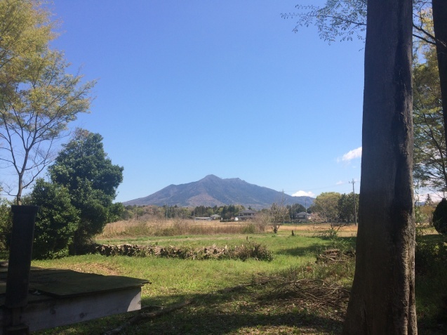 ぷにの家_c0112672_17174636.jpeg