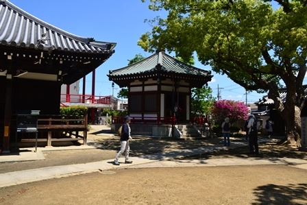 d0163073_09495327.jpg