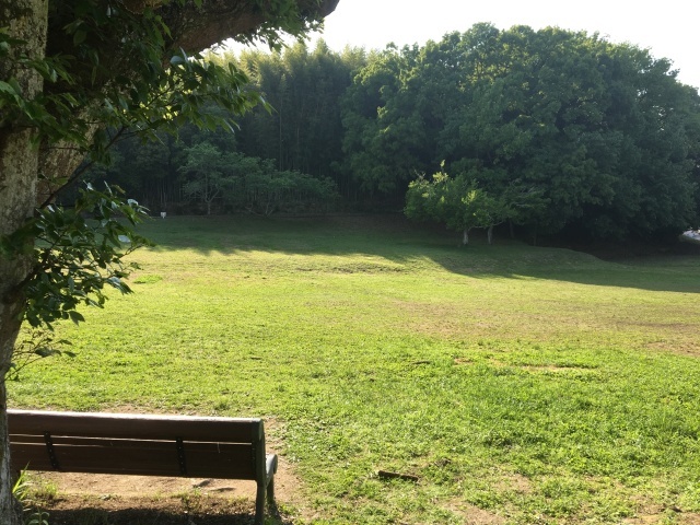 c0274374_23572319.jpeg