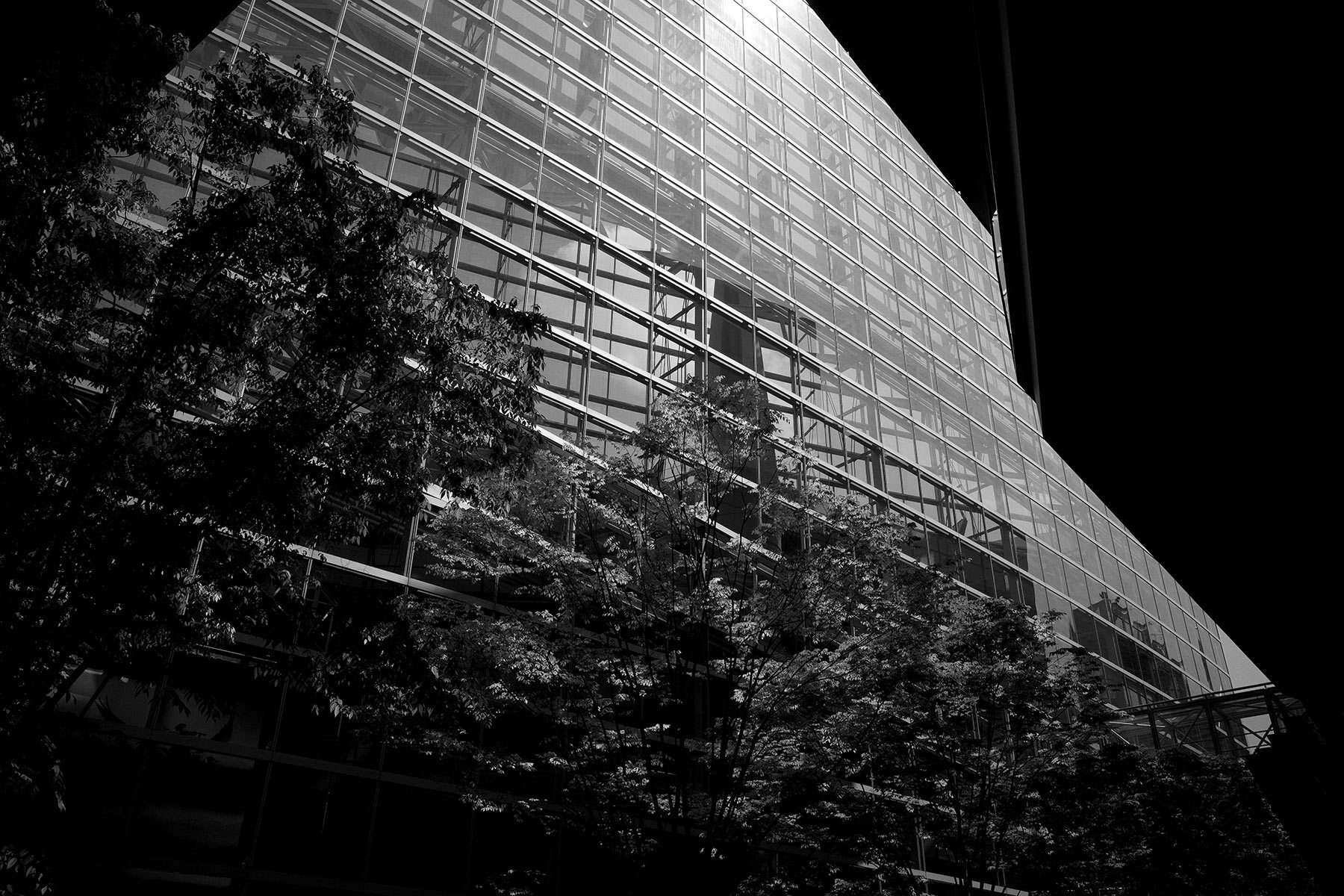 f0121181_00062333.jpg