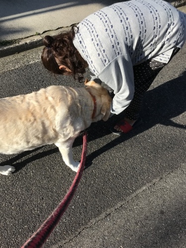 f0315081_20521417.jpeg
