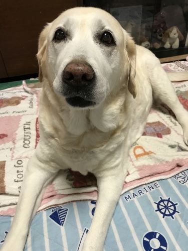 f0315081_20560541.jpeg