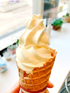 c0063182_05522159.jpg