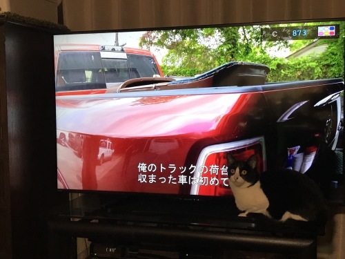 a0216583_23443213.jpeg