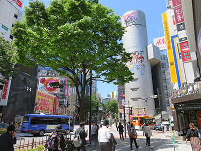 b0056983_11525204.jpg