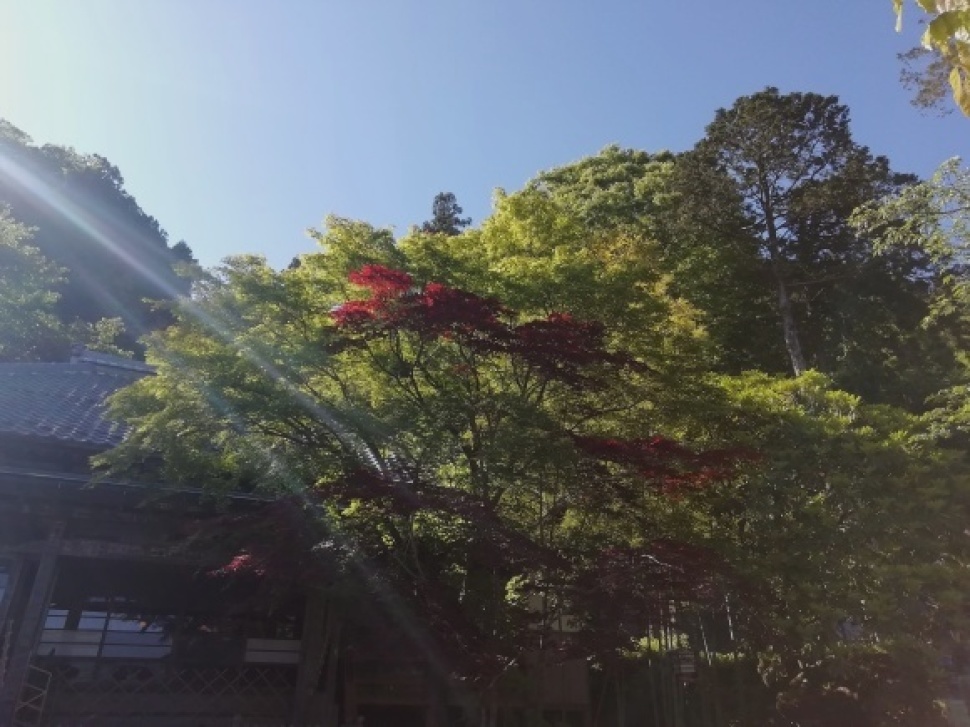 c0212083_20221477.jpg