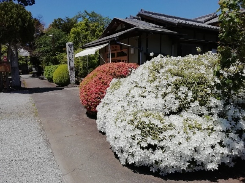 c0212083_20244437.jpg