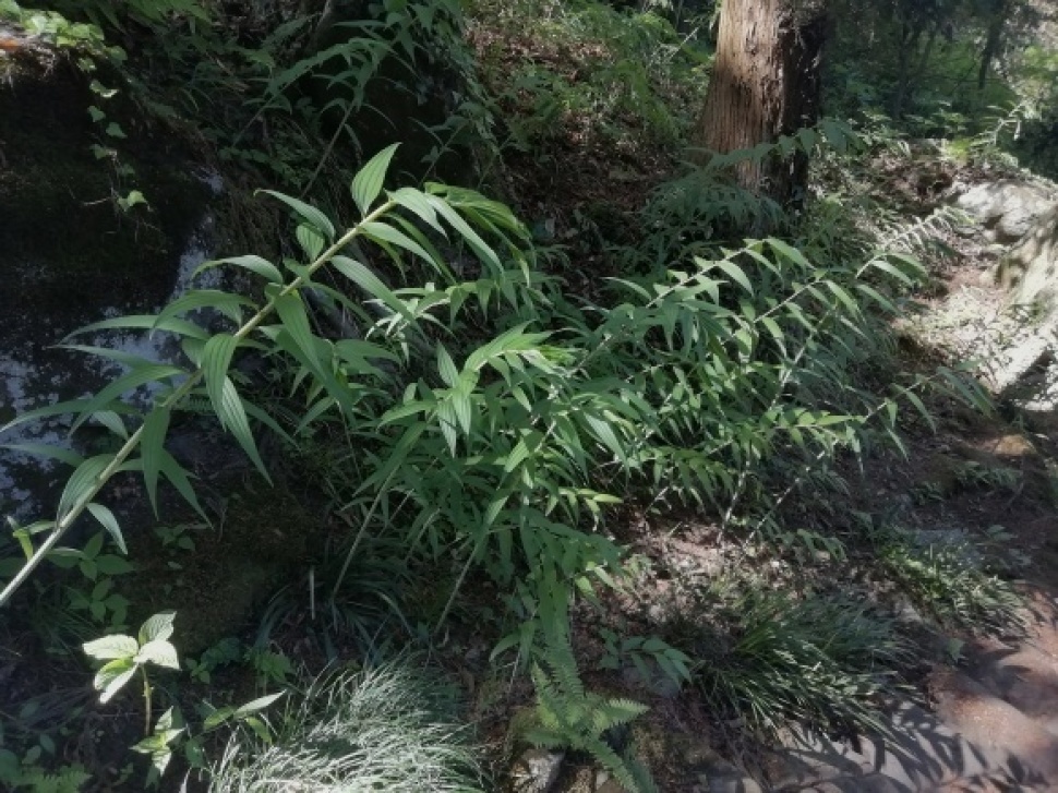 c0212083_20315643.jpg