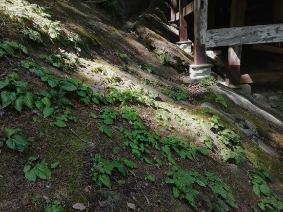 c0212083_20321898.jpg