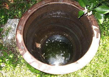 f0003283_07265653.jpg