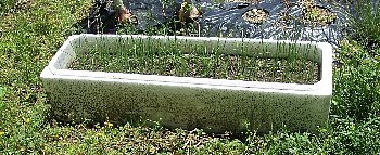 f0003283_07270309.jpg