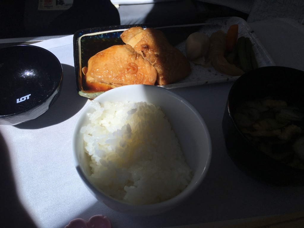 NRT-WAW-TXL 5/6_c0180686_02052569.jpg