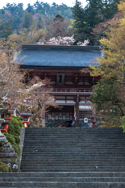 鞍馬寺_e0051888_05141784.jpg