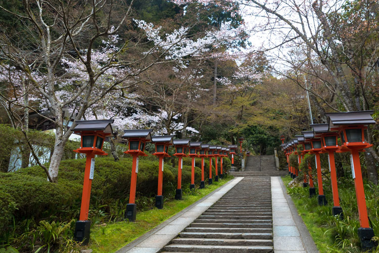 鞍馬寺_e0051888_05142956.jpg