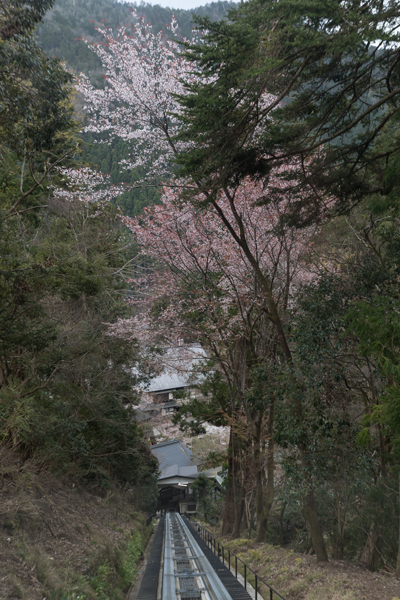 鞍馬寺_e0051888_05182162.jpg