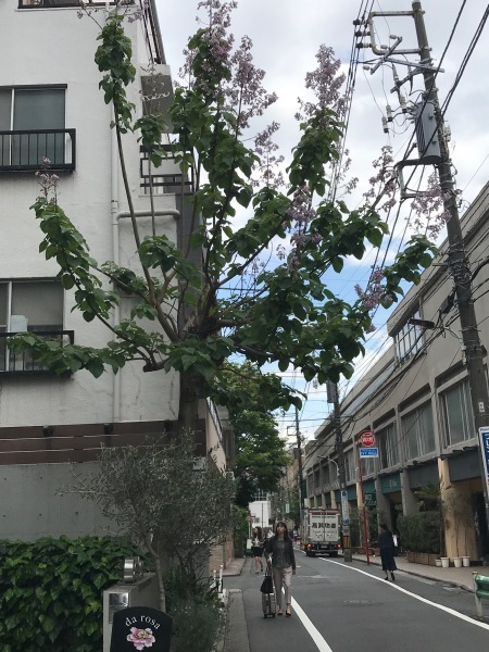 e0397389_11322275.jpeg