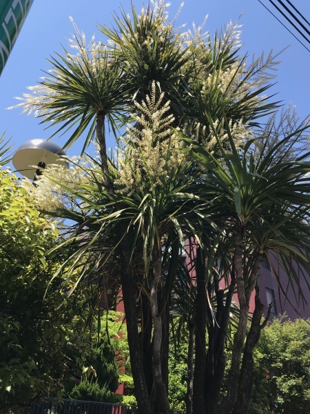 e0397389_15085836.jpeg
