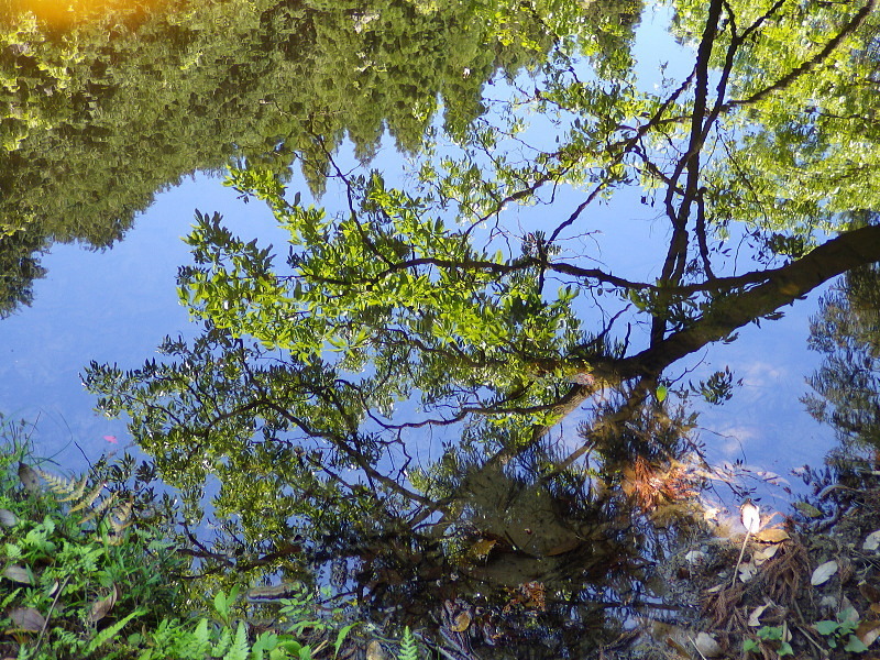 a0211291_21235215.jpg