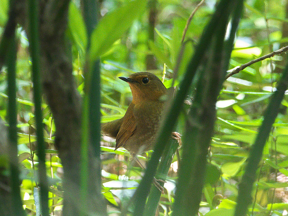 c0081492_02465034.jpg