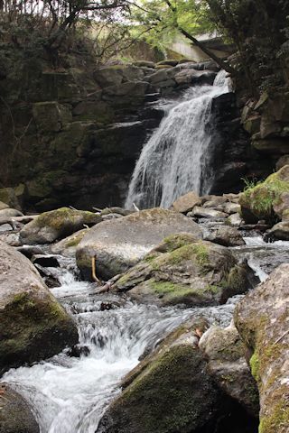 c0090198_18143412.jpg