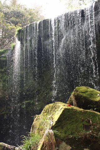 c0090198_18194405.jpg