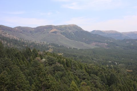 c0090198_18212622.jpg