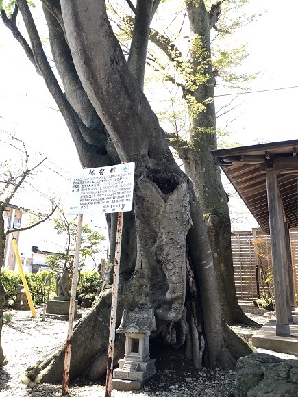 f0364707_12032129.jpg