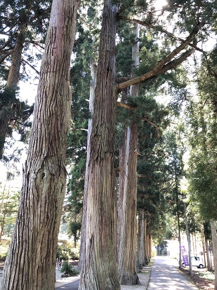 f0364707_16033252.jpg