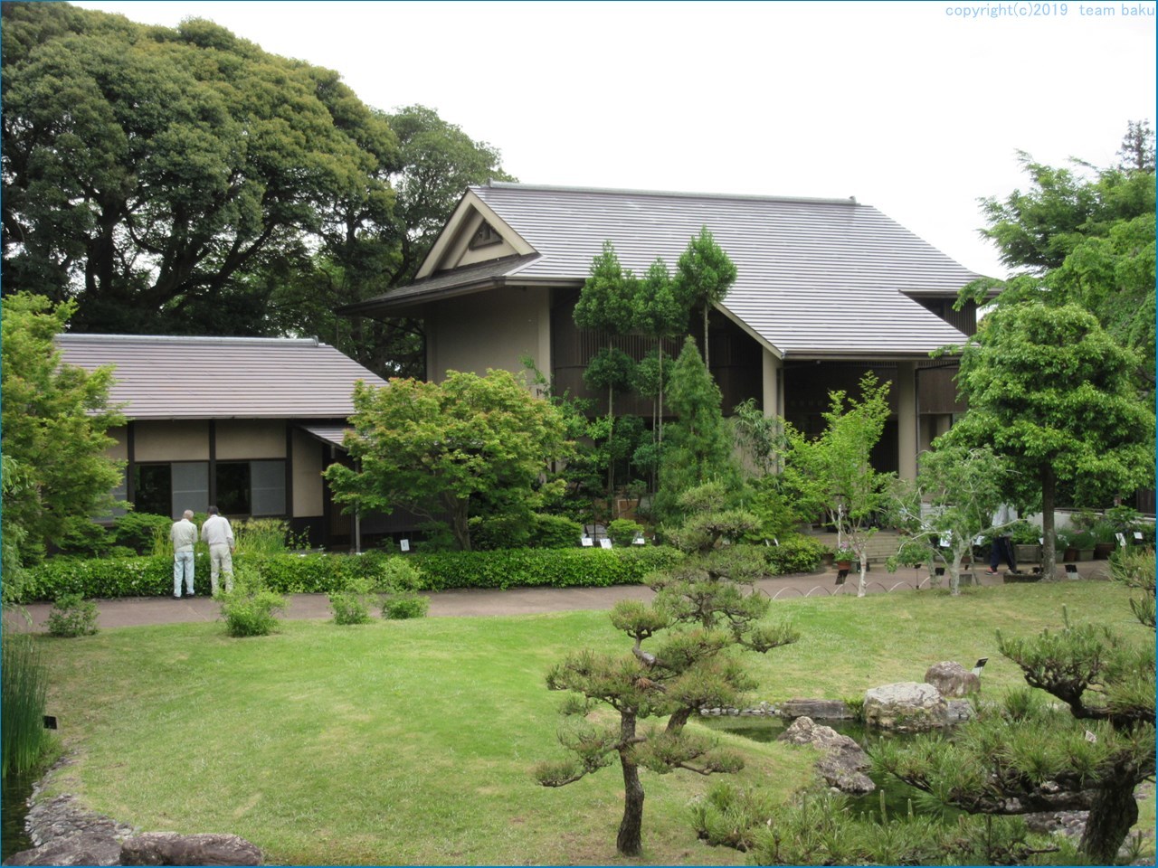 万葉の森公園_c0376508_16034074.jpg
