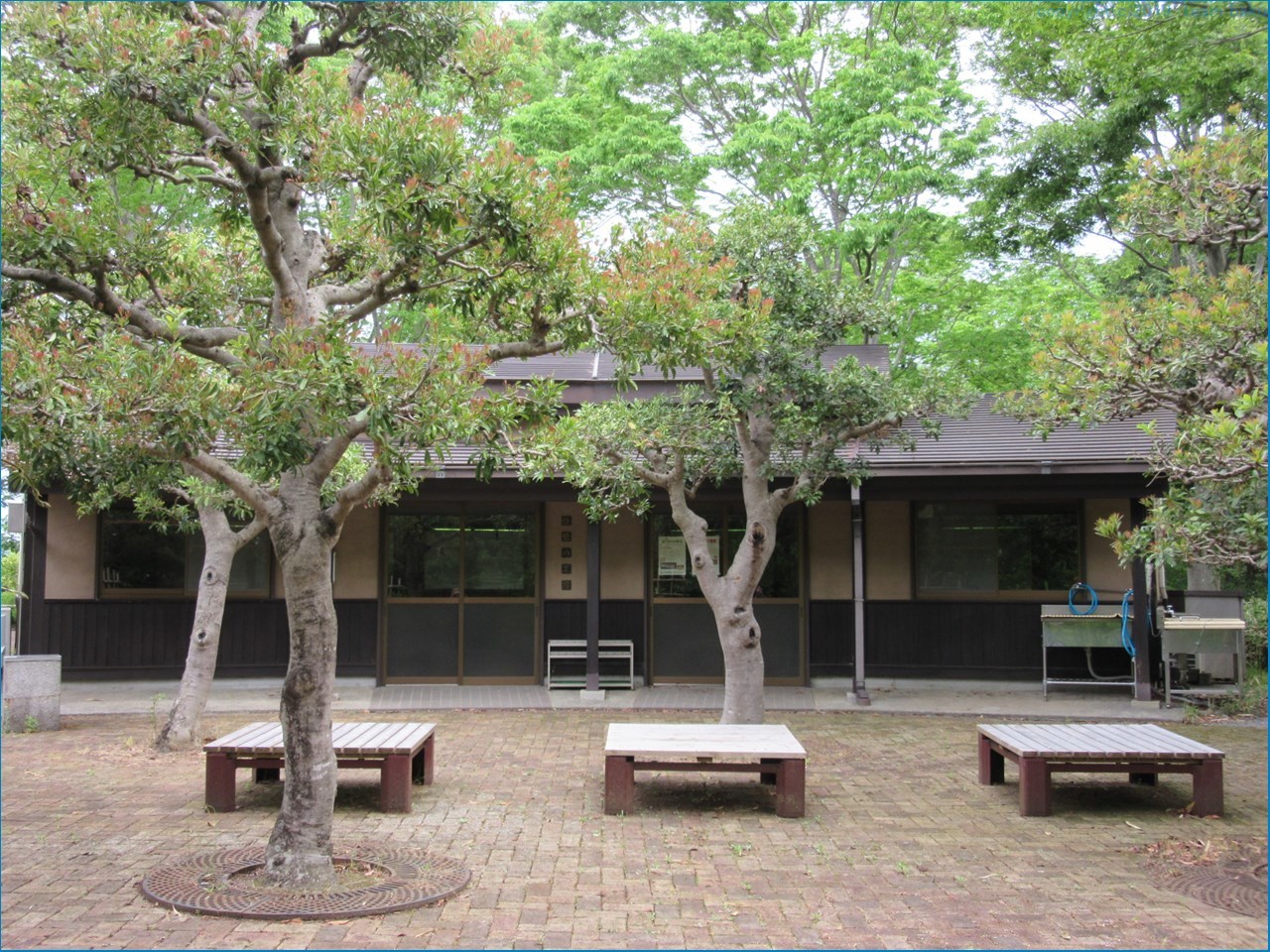 万葉の森公園_c0376508_16034809.jpg