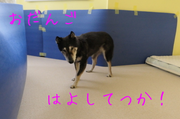f0369014_15545425.jpg