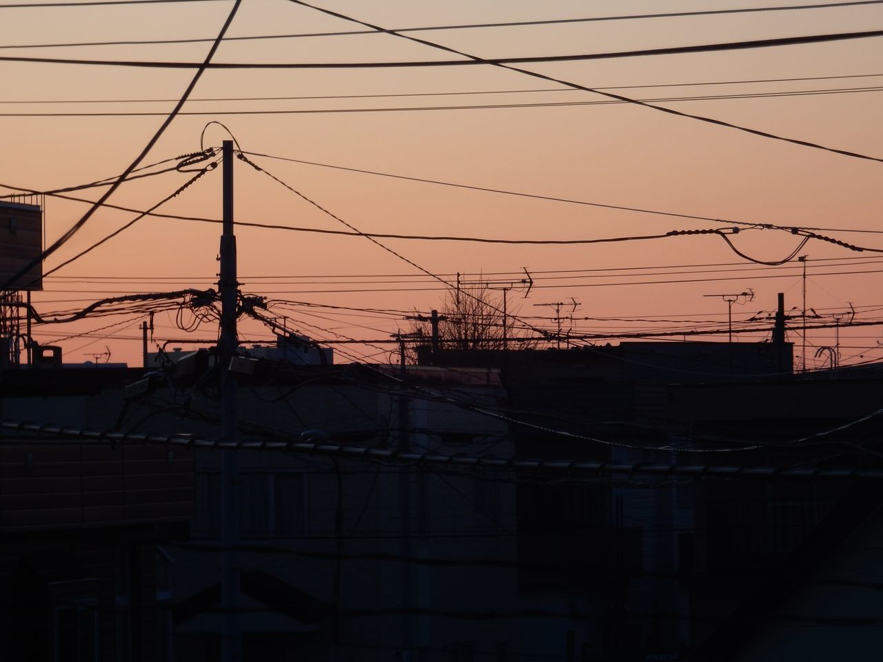 気温が激しく上下する毎日_c0025115_22204546.jpg
