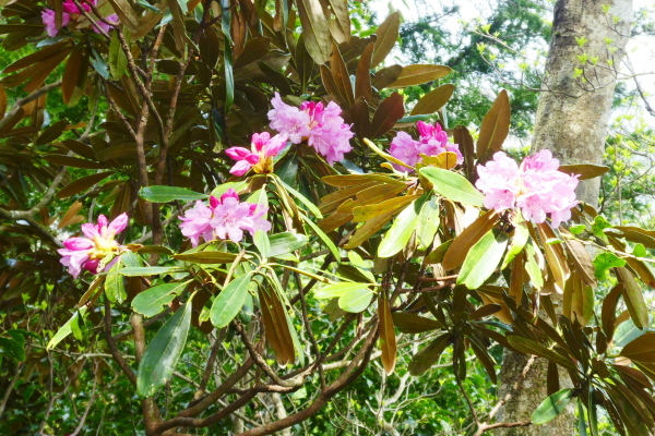 d0170615_19524080.jpg