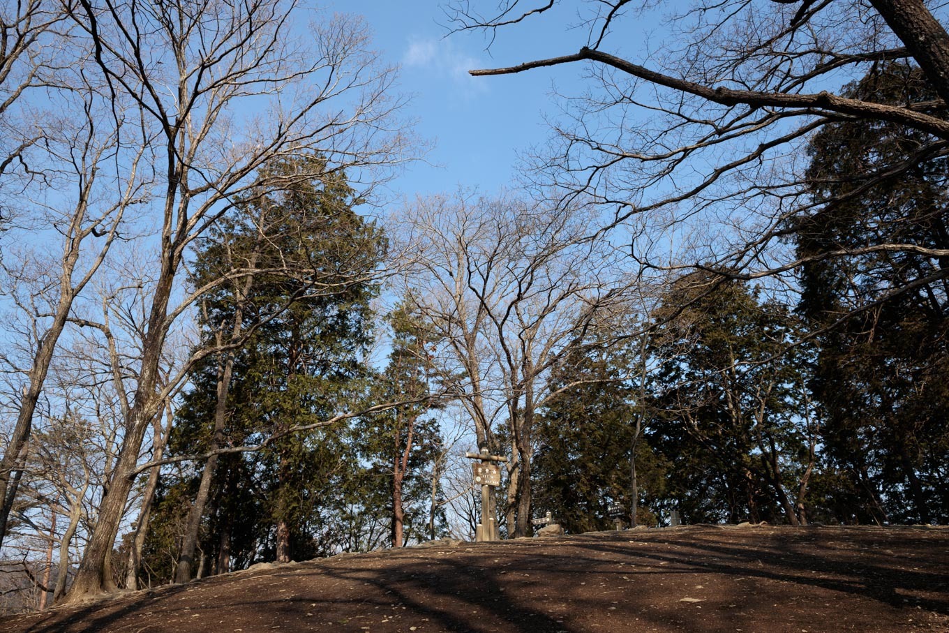 梅百花の香りの山へ「宝登山」山頂と梅百花園_c0369219_11182734.jpg