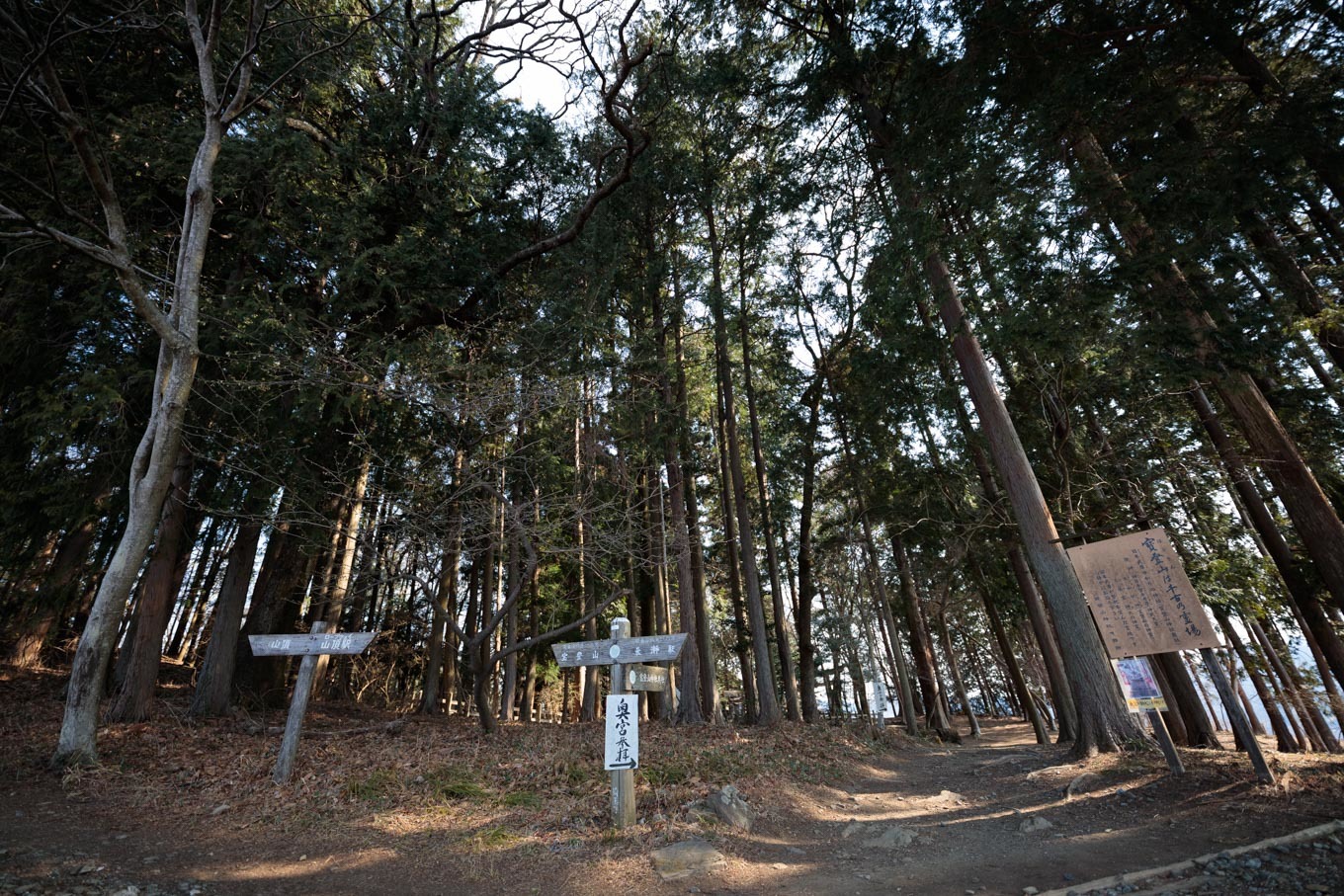 梅百花の香りの山へ「宝登山」山頂と梅百花園_c0369219_11355189.jpg