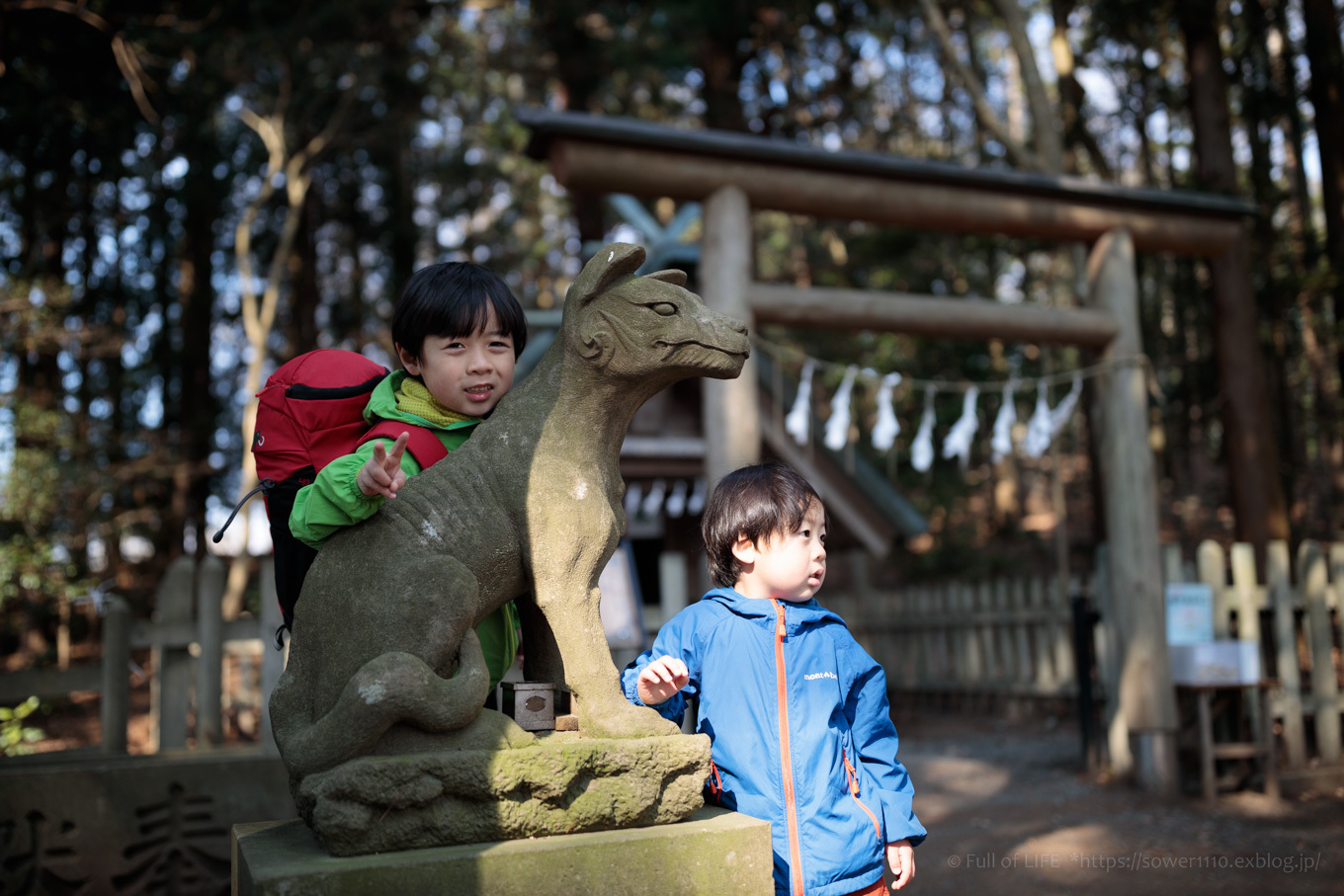 梅百花の香りの山へ「宝登山」山頂と梅百花園_c0369219_11463672.jpg