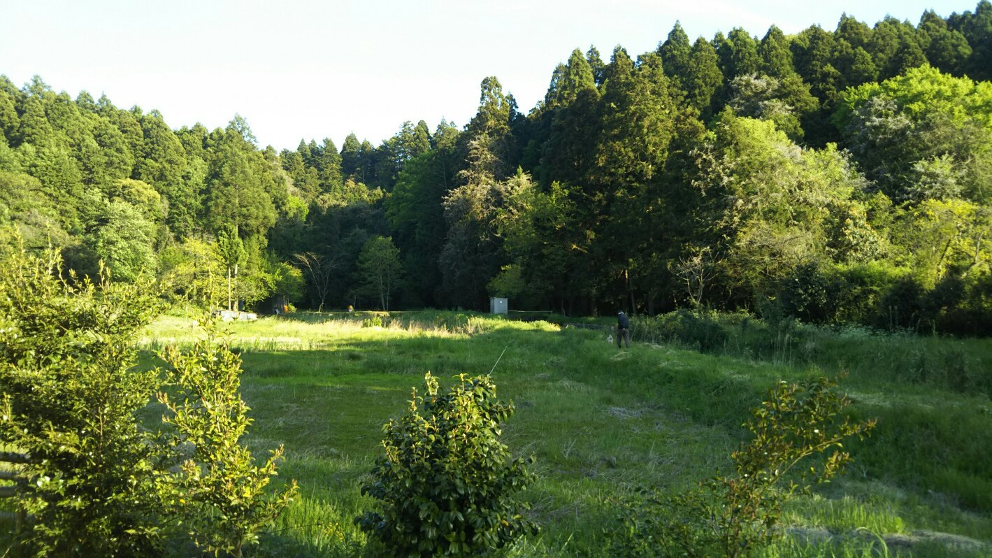 b0207320_10493938.jpeg