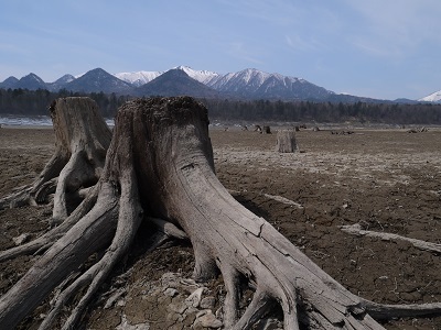 c0227720_21554152.jpg