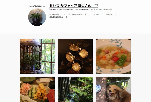 プラチナブロガーが新しく追加されました!_f0357923_14461133.jpg